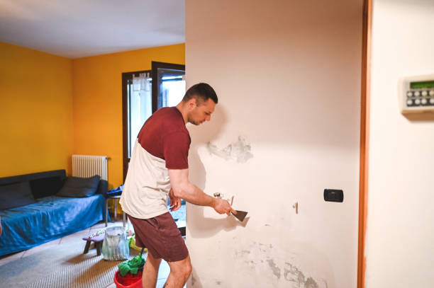 Best Same-Day Mold Removal  in Meraux, LA